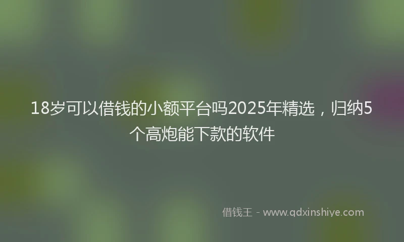 18岁可以借钱的小额平台吗2025年精选，归纳5个高炮能下款的软件