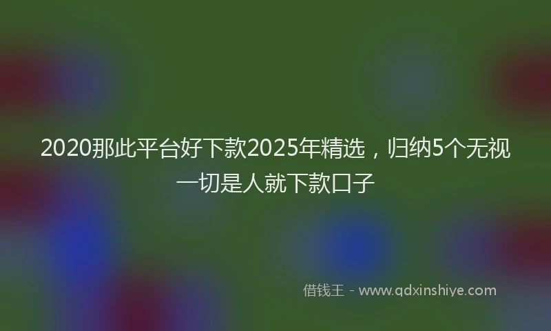 2020那此平台好下款2025年精选，归纳5个无视一切是人就下款口子
