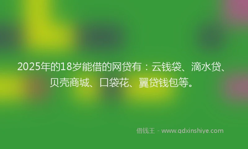 2025年的18岁能借的网贷有：云钱袋、滴水贷、贝壳商城、口袋花、翼贷钱包等。