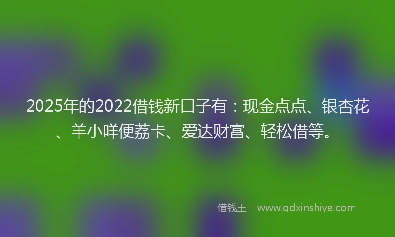 2025年的2022借钱新口子有：现金点点、银杏花、羊小咩便荔卡、爱达财富、轻松借等。