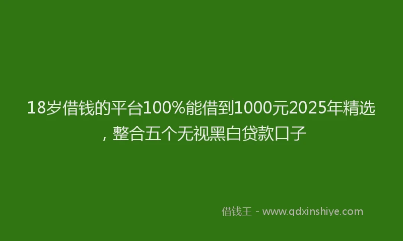 18岁借钱的平台100%能借到1000元2025年精选，整合五个无视黑白贷款口子