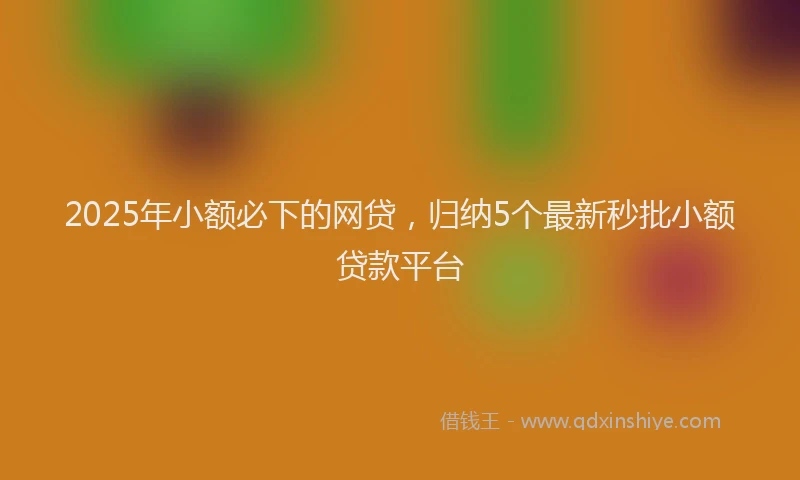 2025年小额必下的网贷，归纳5个最新秒批小额贷款平台