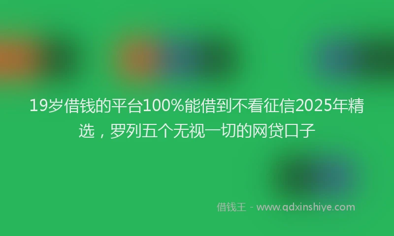 19岁借钱的平台100%能借到不看征信2025年精选，罗列五个无视一切的网贷口子