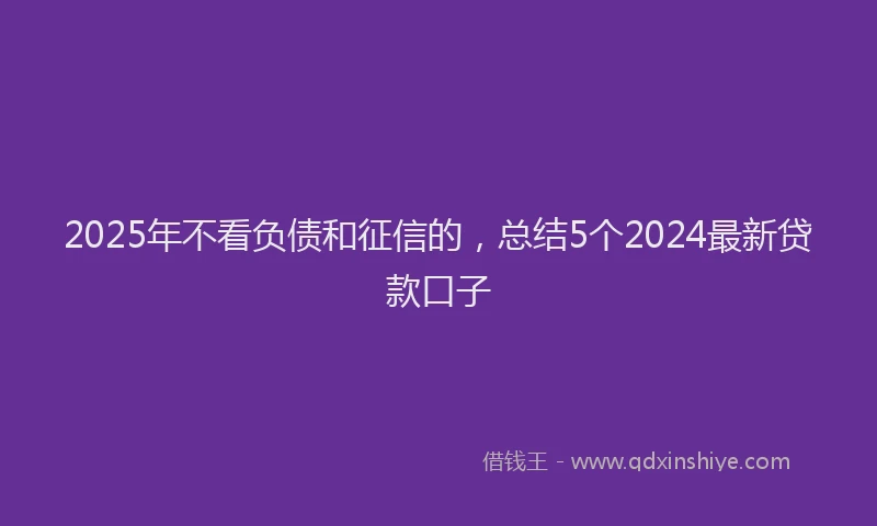 2025年不看负债和征信的，总结5个2024最新贷款口子