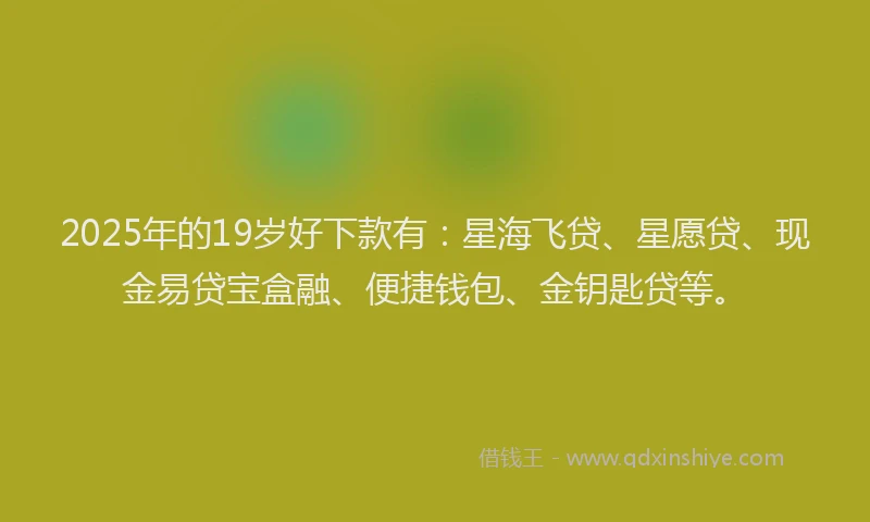 2025年的19岁好下款有：星海飞贷、星愿贷、现金易贷宝盒融、便捷钱包、金钥匙贷等。