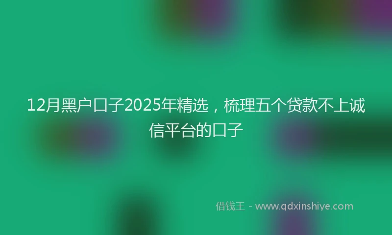 12月黑户口子2025年精选，梳理五个贷款不上诚信平台的口子