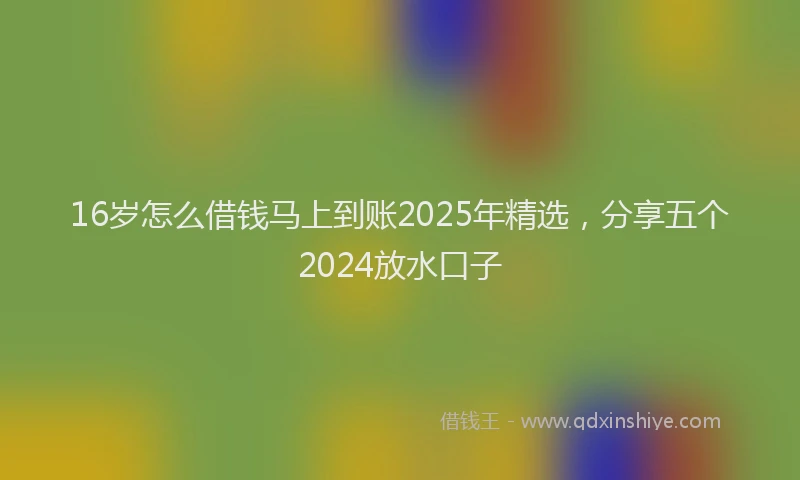 16岁怎么借钱马上到账2025年精选，分享五个2024放水口子