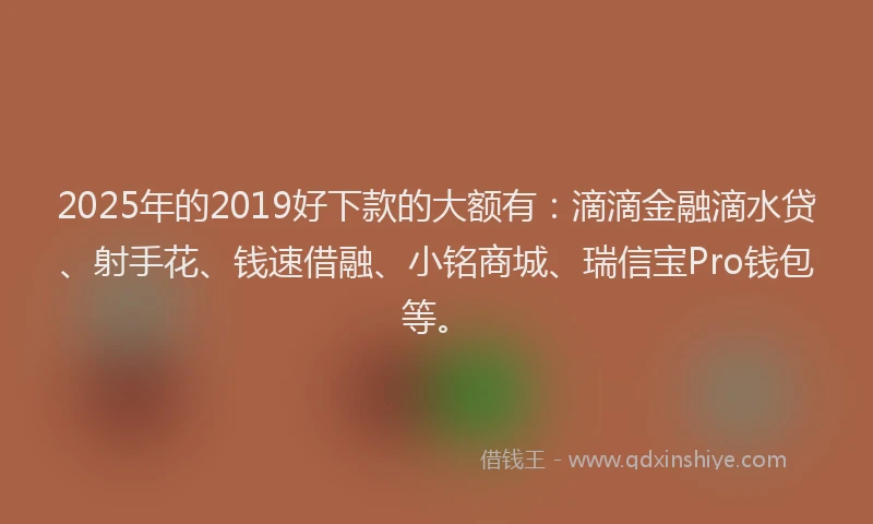 2025年的2019好下款的大额有：滴滴金融滴水贷、射手花、钱速借融、小铭商城、瑞信宝Pro钱包等。