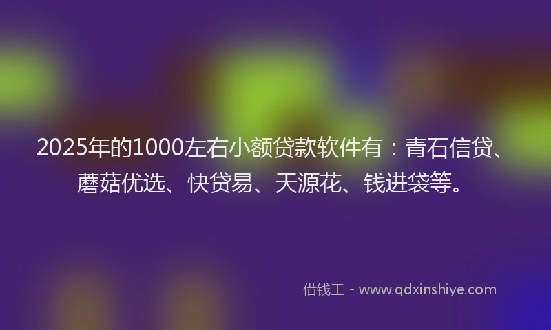 2025年的1000左右小额贷款软件有：青石信贷、蘑菇优选、快贷易、天源花、钱进袋等。