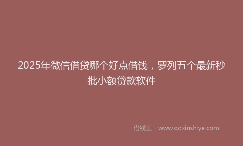 2025年微信借贷哪个好点借钱，罗列五个最新秒批小额贷款软件