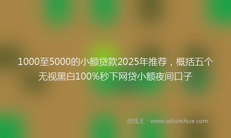 1000至5000的小额贷款2025年推荐，概括五个无视黑白100%秒下网贷小额夜间口子