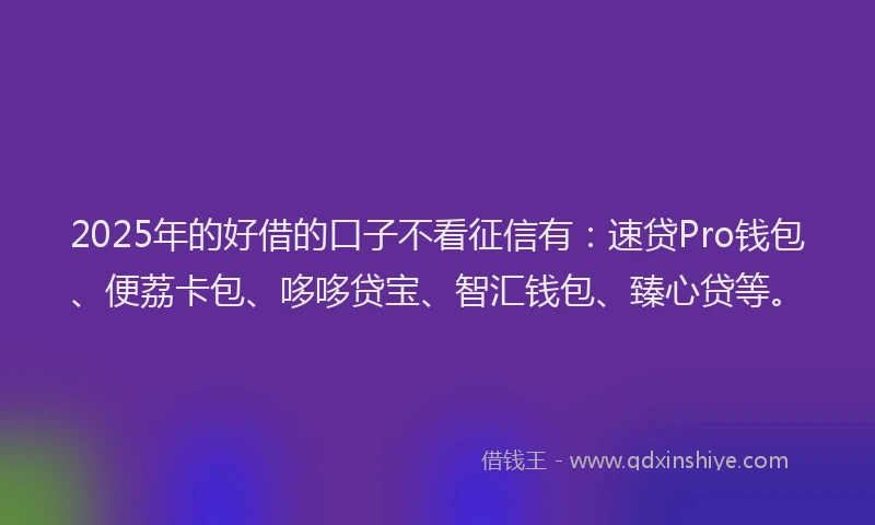 2025年的好借的口子不看征信有：速贷Pro钱包、便荔卡包、哆哆贷宝、智汇钱包、臻心贷等。