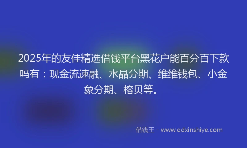 2025年的友佳精选借钱平台黑花户能百分百下款吗有：现金流速融、水晶分期、维维钱包、小金象分期、榕贝等。