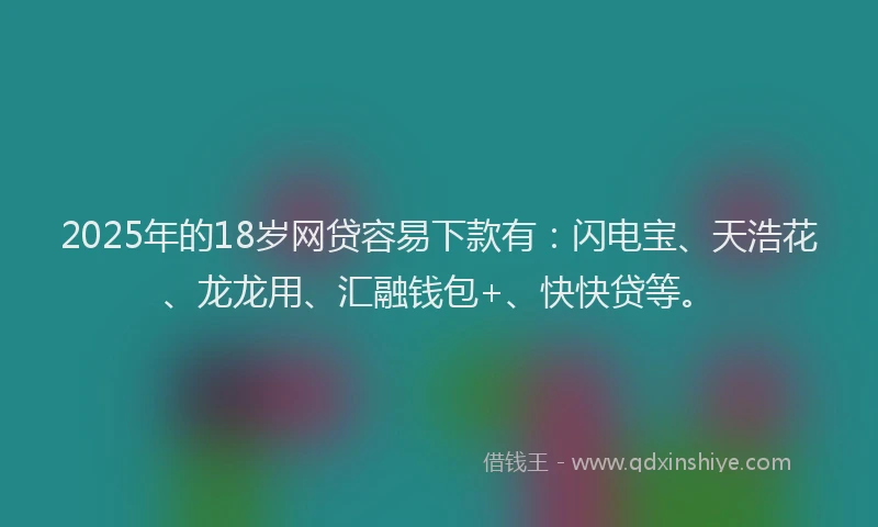 2025年的18岁网贷容易下款有：闪电宝、天浩花、龙龙用、汇融钱包+、快快贷等。