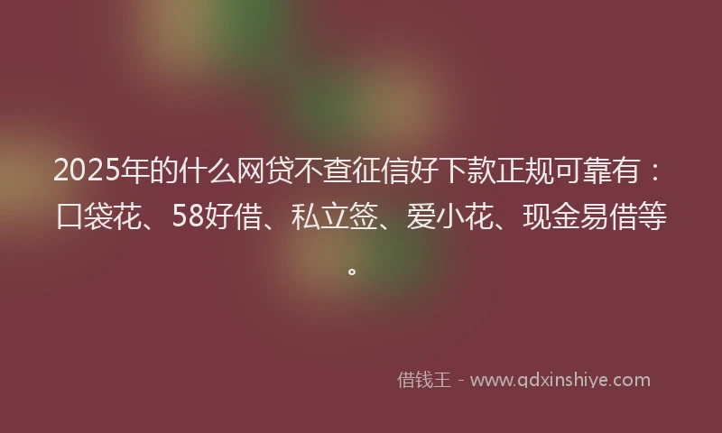 2025年的什么网贷不查征信好下款正规可靠有：口袋花、58好借、私立签、爱小花、现金易借等。