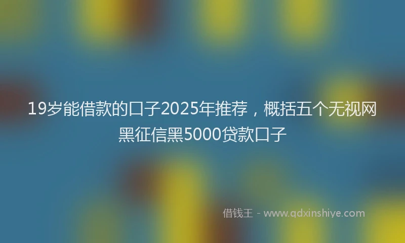 19岁能借款的口子2025年推荐，概括五个无视网黑征信黑5000贷款口子