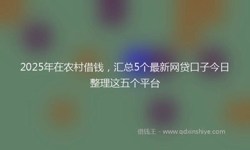 2025年在农村借钱，汇总5个最新网贷口子今日整理这五个平台