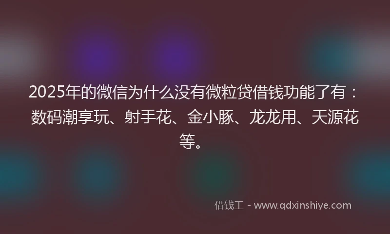 2025年的微信为什么没有微粒贷借钱功能了有：数码潮享玩、射手花、金小豚、龙龙用、天源花等。
