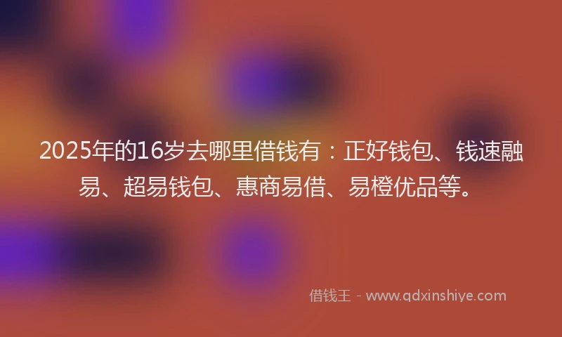 2025年的16岁去哪里借钱有：正好钱包、钱速融易、超易钱包、惠商易借、易橙优品等。