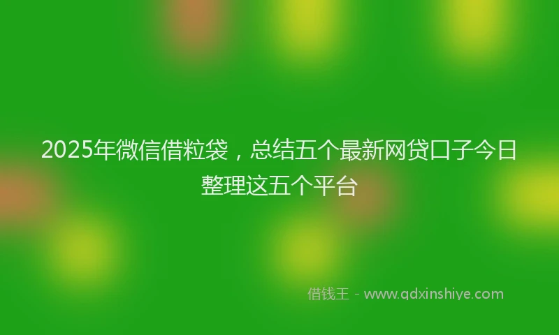 2025年微信借粒袋，总结五个最新网贷口子今日整理这五个平台