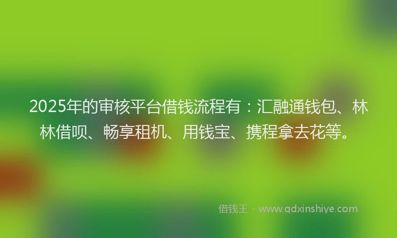 2025年的审核平台借钱流程有：汇融通钱包、林林借呗、畅享租机、用钱宝、携程拿去花等。