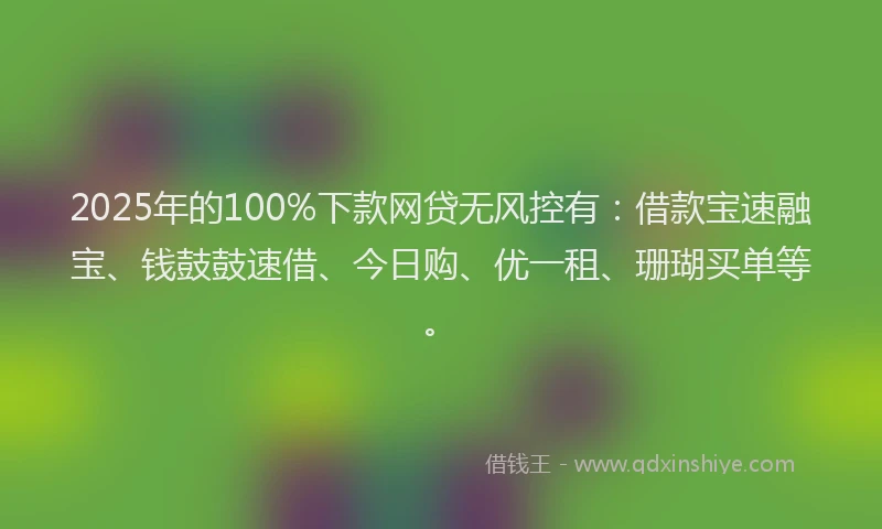 2025年的100%下款网贷无风控有：借款宝速融宝、钱鼓鼓速借、今日购、优一租、珊瑚买单等。
