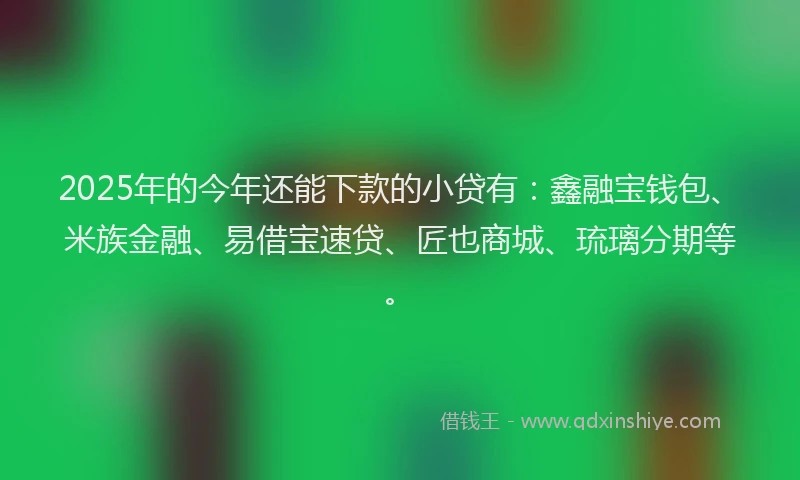 2025年的今年还能下款的小贷有：鑫融宝钱包、米族金融、易借宝速贷、匠也商城、琉璃分期等。