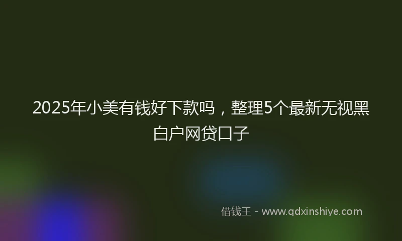 2025年小美有钱好下款吗，整理5个最新无视黑白户网贷口子