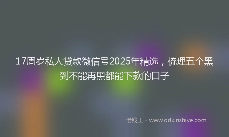 17周岁私人贷款微信号2025年精选，梳理五个黑到不能再黑都能下款的口子