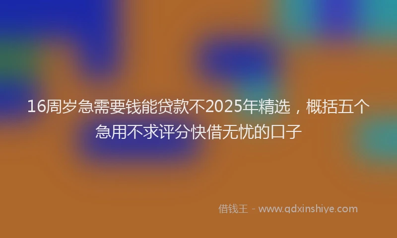 16周岁急需要钱能贷款不2025年精选，概括五个急用不求评分快借无忧的口子
