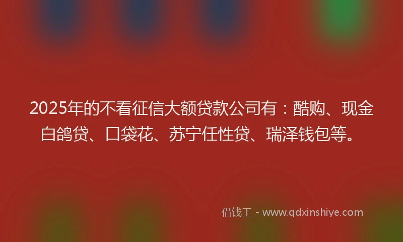 2025年的不看征信大额贷款公司有：酷购、现金白鸽贷、口袋花、苏宁任性贷、瑞泽钱包等。