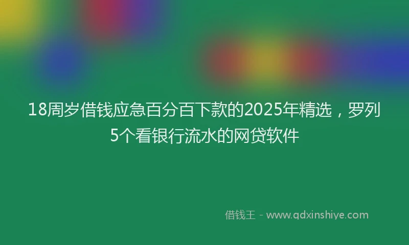 18周岁借钱应急百分百下款的2025年精选，罗列5个看银行流水的网贷软件