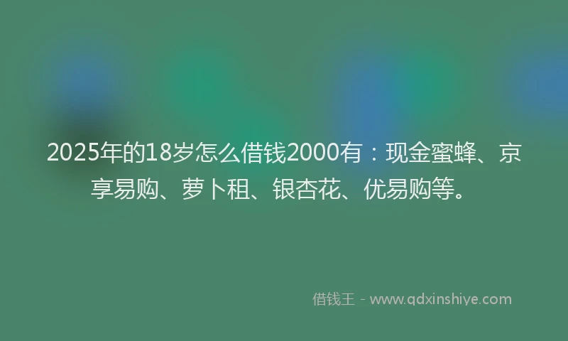 2025年的18岁怎么借钱2000有：现金蜜蜂、京享易购、萝卜租、银杏花、优易购等。