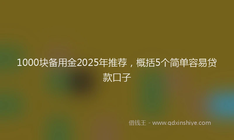 1000块备用金2025年推荐，概括5个简单容易贷款口子