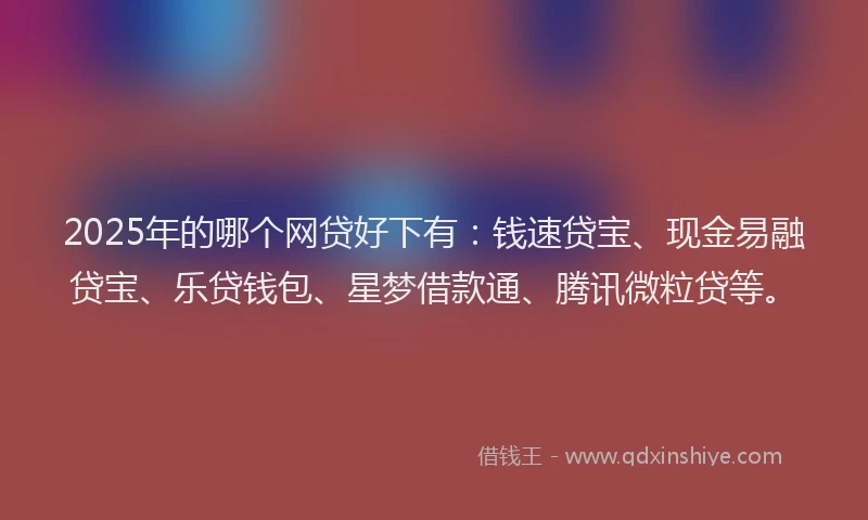 2025年的哪个网贷好下有：钱速贷宝、现金易融贷宝、乐贷钱包、星梦借款通、腾讯微粒贷等。