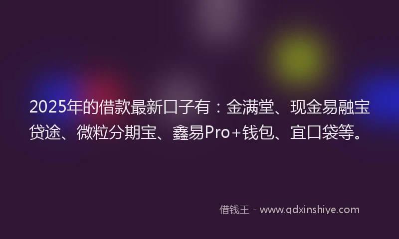 2025年的借款最新口子有：金满堂、现金易融宝贷途、微粒分期宝、鑫易Pro+钱包、宜口袋等。