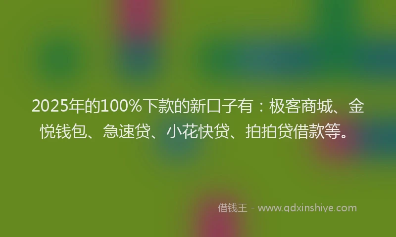2025年的100%下款的新口子有：极客商城、金悦钱包、急速贷、小花快贷、拍拍贷借款等。