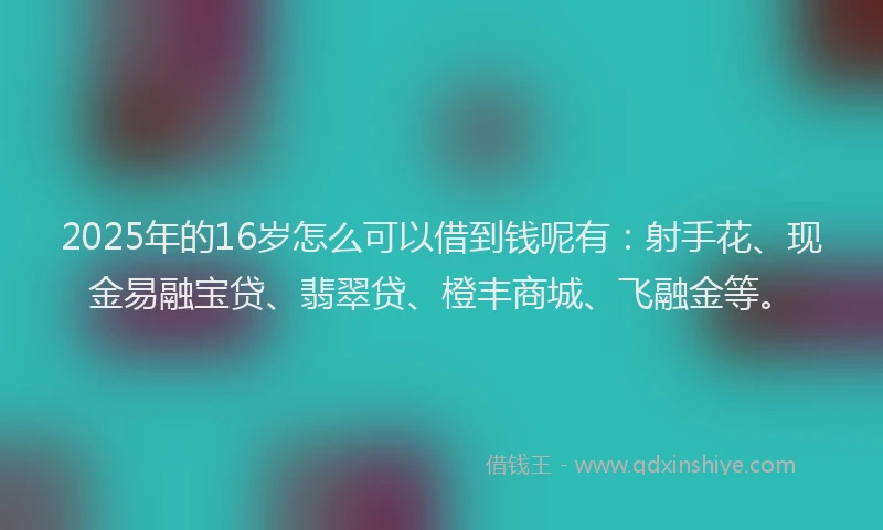 2025年的16岁怎么可以借到钱呢有：射手花、现金易融宝贷、翡翠贷、橙丰商城、飞融金等。
