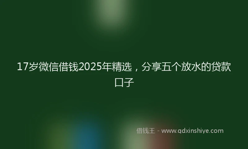 17岁微信借钱2025年精选，分享五个放水的贷款口子