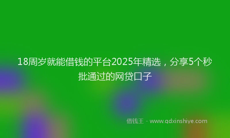 18周岁就能借钱的平台2025年精选，分享5个秒批通过的网贷口子