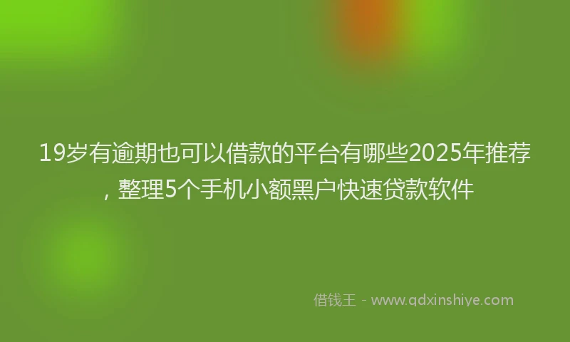 19岁有逾期也可以借款的平台有哪些2025年推荐，整理5个手机小额黑户快速贷款软件
