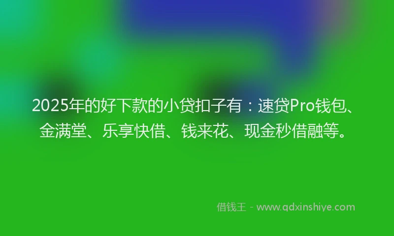 2025年的好下款的小贷扣子有：速贷Pro钱包、金满堂、乐享快借、钱来花、现金秒借融等。