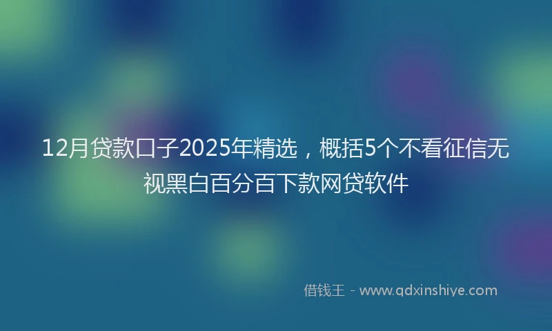 12月贷款口子2025年精选，概括5个不看征信无视黑白百分百下款网贷软件