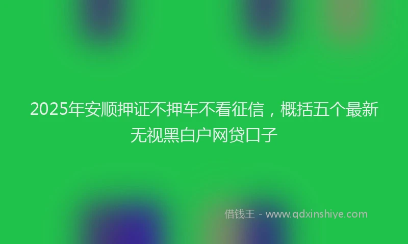 2025年安顺押证不押车不看征信，概括五个最新无视黑白户网贷口子