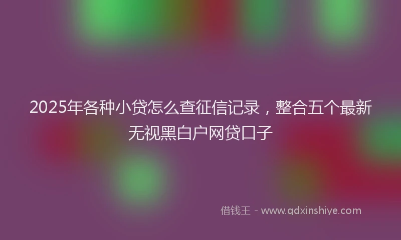 2025年各种小贷怎么查征信记录，整合五个最新无视黑白户网贷口子