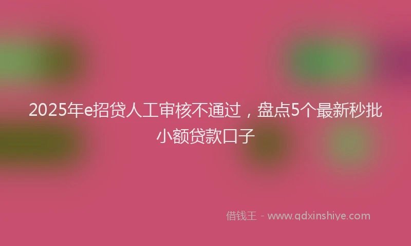 2025年e招贷人工审核不通过，盘点5个最新秒批小额贷款口子