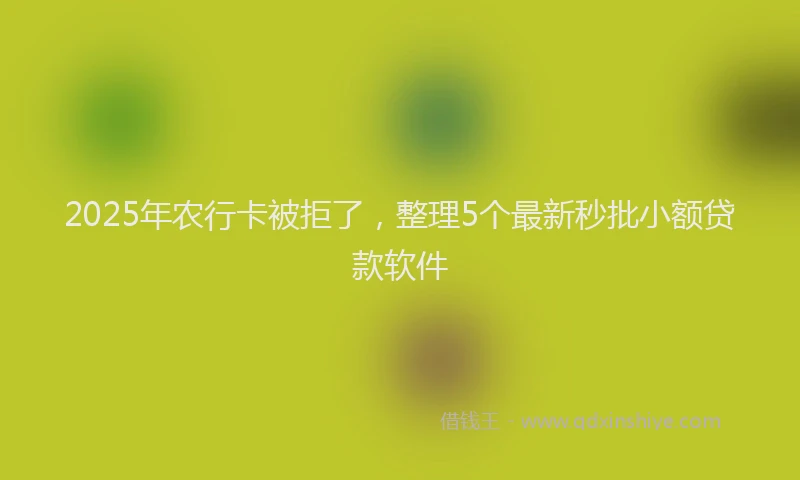 2025年农行卡被拒了，整理5个最新秒批小额贷款软件