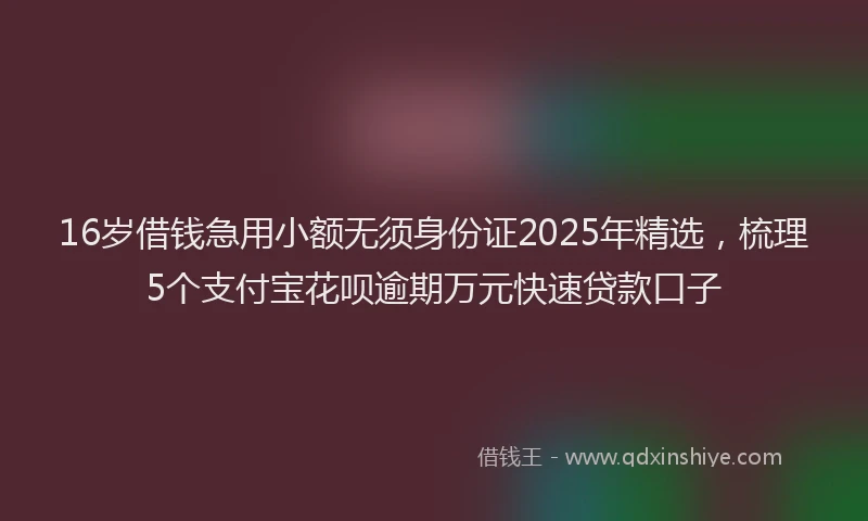 16岁借钱急用小额无须身份证2025年精选，梳理5个支付宝花呗逾期万元快速贷款口子