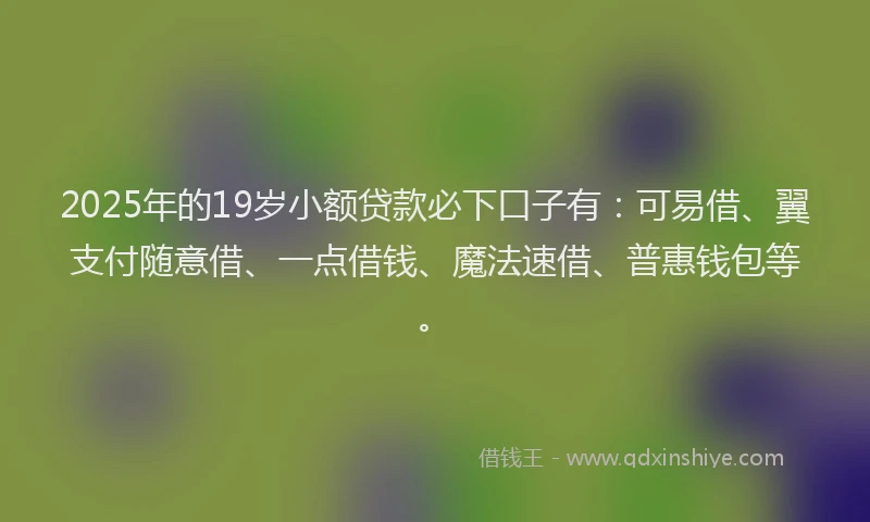 2025年的19岁小额贷款必下口子有：可易借、翼支付随意借、一点借钱、魔法速借、普惠钱包等。