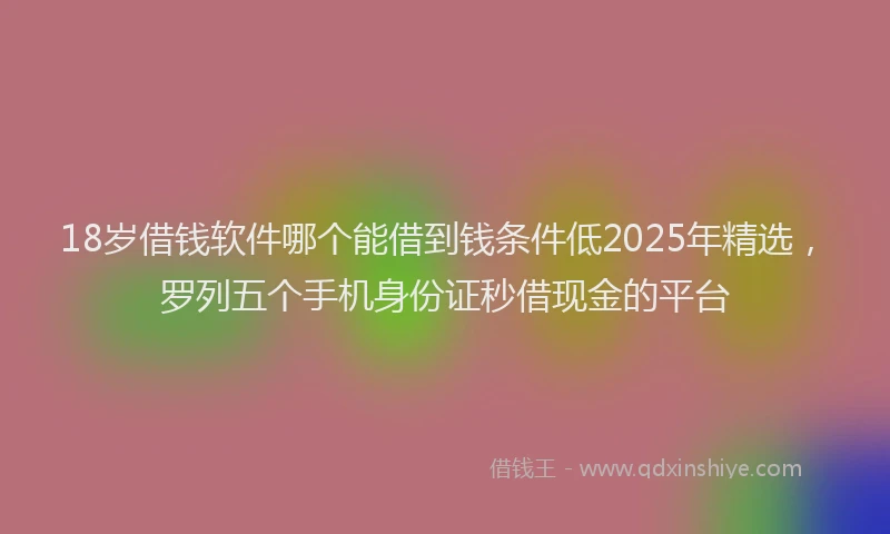 18岁借钱软件哪个能借到钱条件低2025年精选，罗列五个手机身份证秒借现金的平台
